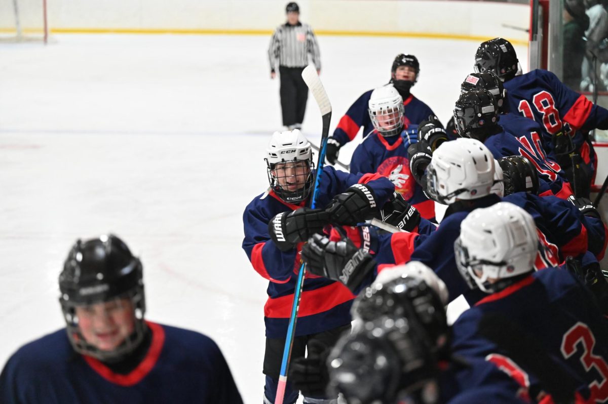 Development Hockey:  Learning to Love the Game