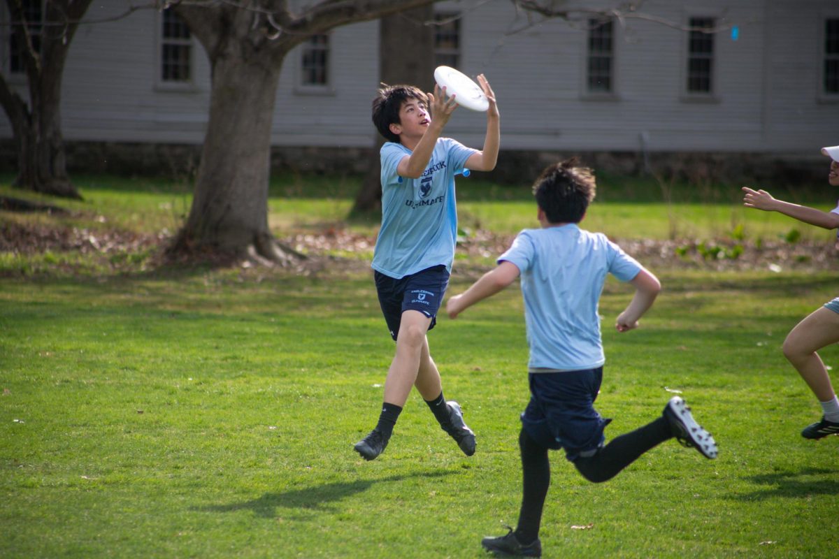 Ultimate Disc